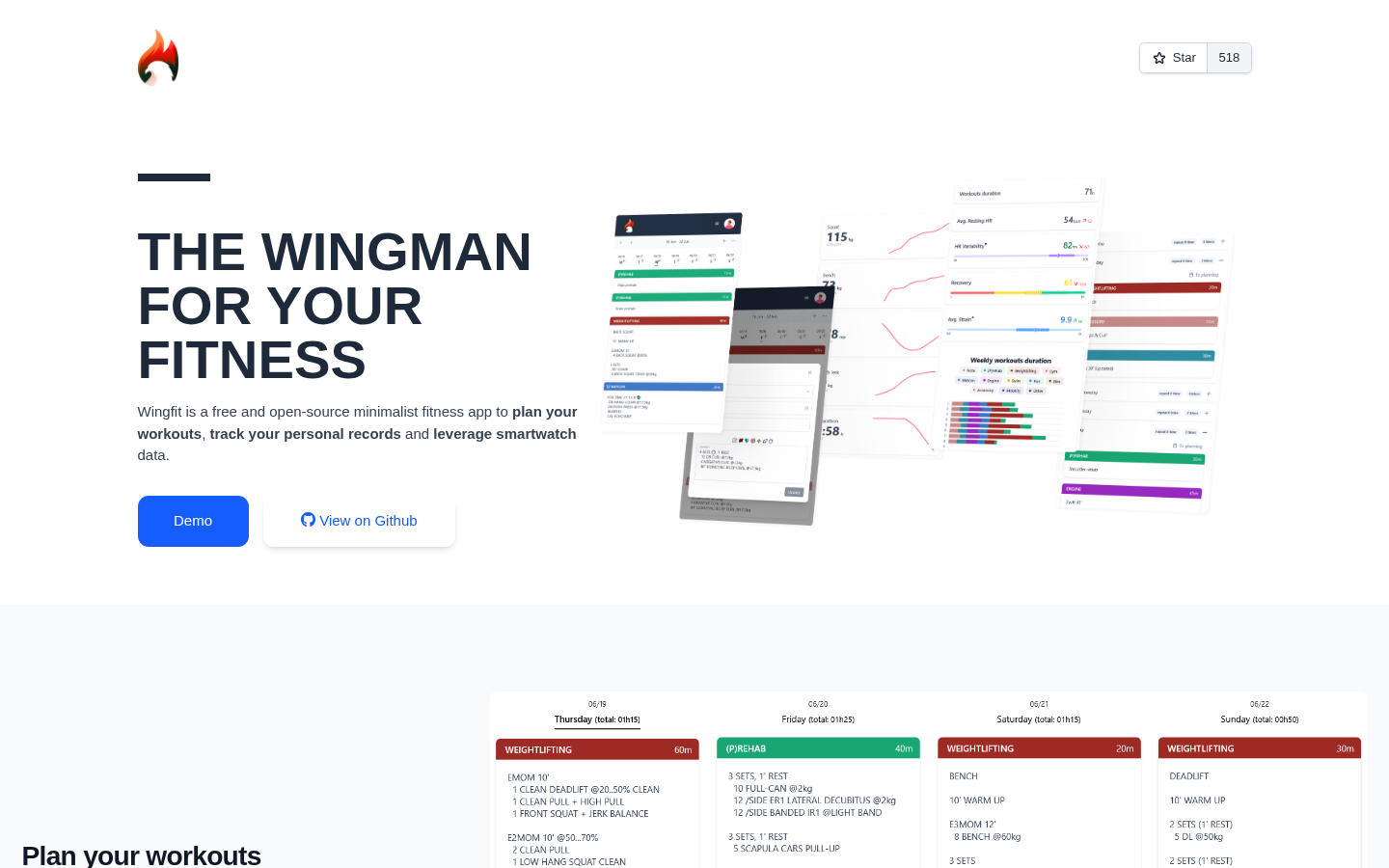 wingfit screenshot