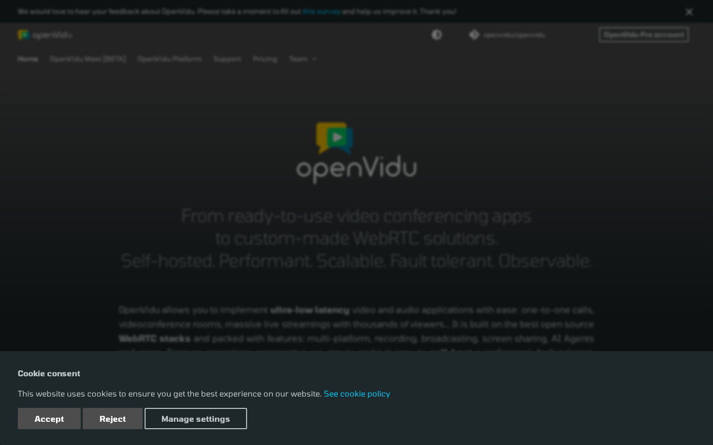 openvidu screenshot